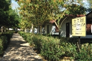 22716viale bungalows.jpg